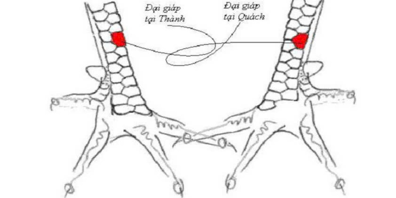 Ý nghĩa và đọc các thông tin qua việc quan sát chi tiết